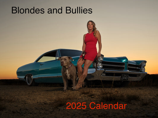 Blondes and Bullies 2025 Calendar